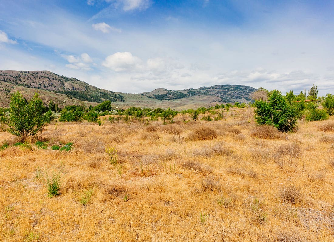 Oroville, WA - Field with Dry Grass with Mountains in the Distance in Rural Oroville Washington