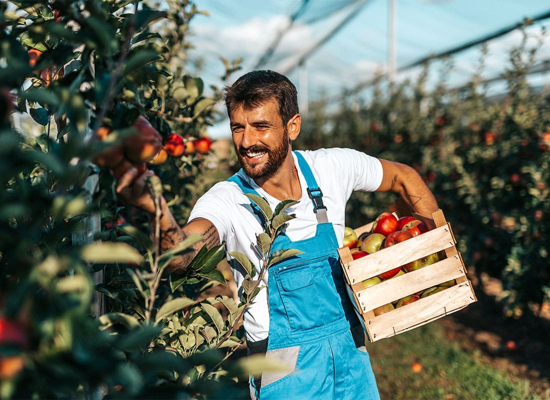 What to Look for When Choosing the Right Crop Insurance Agency for Your Farm What to Look for When Choosing the Right Crop Insurance Agency for Your Farm